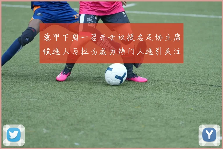意甲下周一召开会议提名足协主席候选人马拉戈成为热门人选引关注