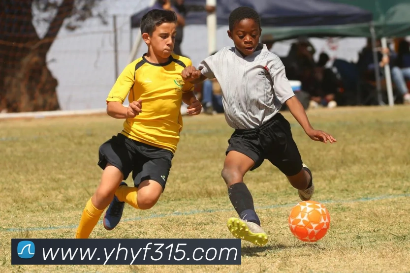 数据防护可视化